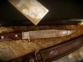 cougar-damascus-1