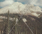 Gutman Catalog 17 10 - Do Not Copy