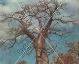 Gutman Catalog 18 11 - Do Not Copy