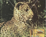 Gutman Catalog 20 0 - Do Not Copy