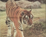 Gutman Catalog 21 12