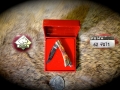 mini-62-7071-red