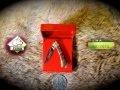mini-62-7072-red