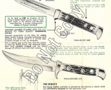 Buddy-Skinner-Literature-p-1---Do-Not-Copy