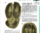 Game-Tracks-2-Literature-1---Do-Not-Copy