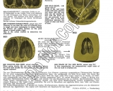 Game-Tracks-2-Literature-2nd-Page---Do-Not-Copy