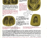 Game-Tracks-Literature-2nd-Page---Do-Not-Copy