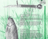 Scale-Knife-Literature-1---Do-Not-Copy