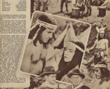 Adlerauge-Scan-3-Web-Ready