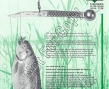 Scale-Knife-Literature-1---Not-For-Copy